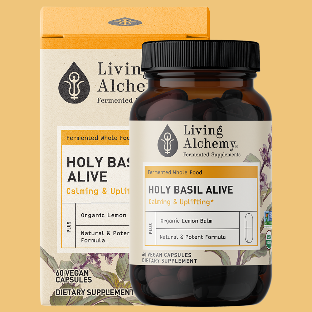 Holy Basil Alive